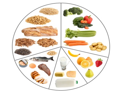 dietary-guidelines-food-groups-wheel-1.jpg